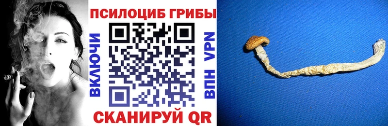 Галлюциногенные грибы GOLDEN TEACHER  что такое наркотик  ОМГ ОМГ как зайти  Можга 